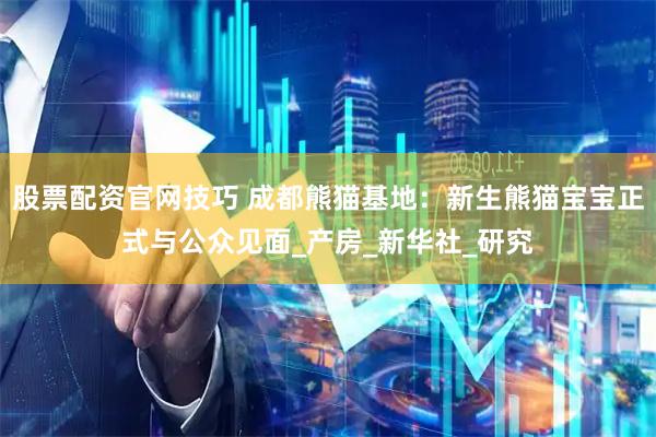 股票配资官网技巧 成都熊猫基地：新生熊猫宝宝正式与公众见面_产房_新华社_研究